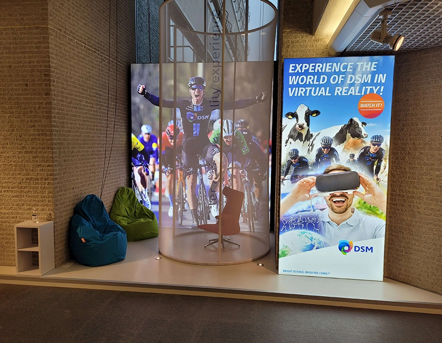 DSM